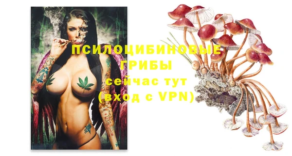 меф Алексин