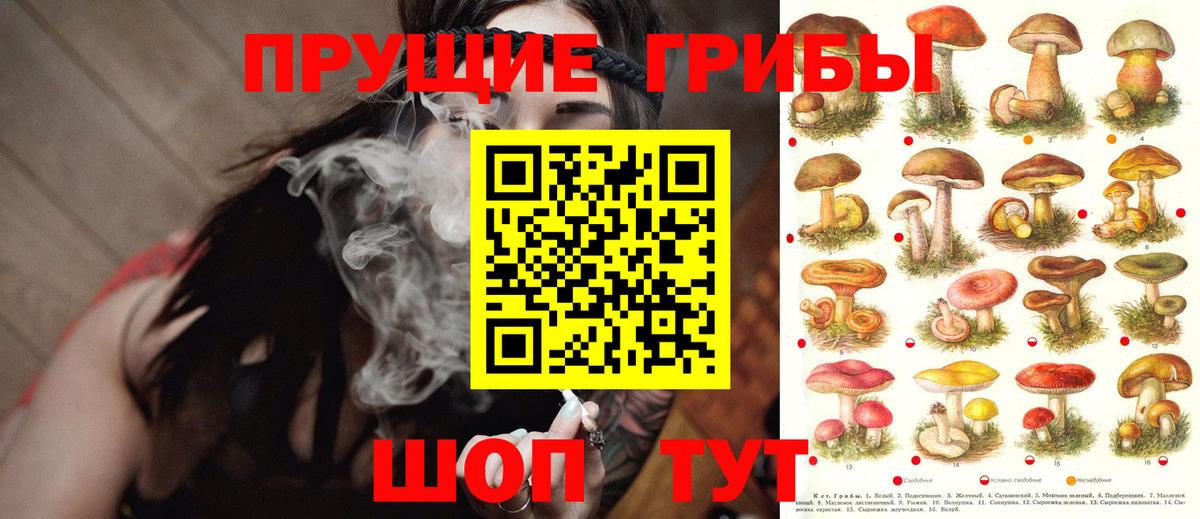 Псилоцибиновые грибы прущие грибы Арзамас