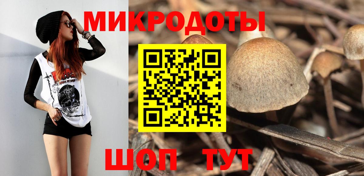 Галлюциногенные грибы Psilocybine cubensis  Вход с VPN  Арзамас  Псилоцибиновые грибы мухоморы 