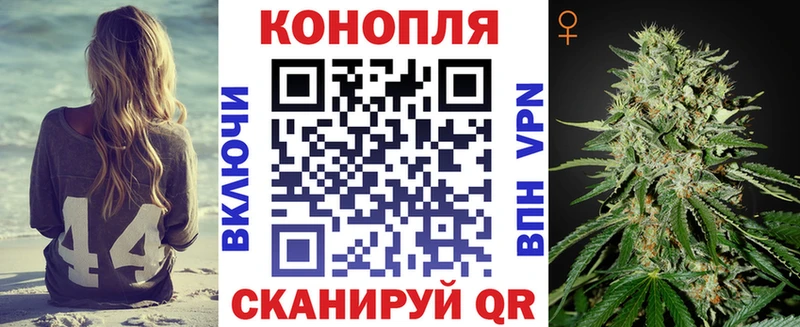 где купить   Арзамас  Каннабис OG Kush 